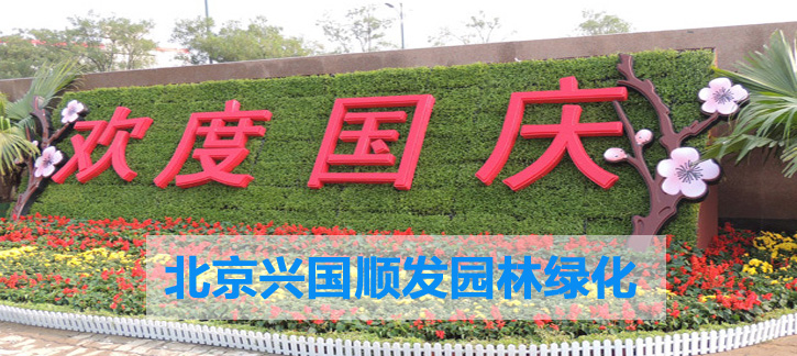 北京园林绿化工程绿植租摆1380批发