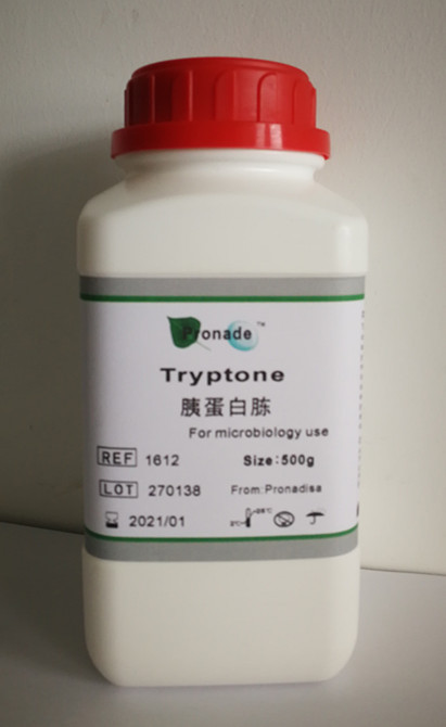 胰蛋白胨Tryptone批发