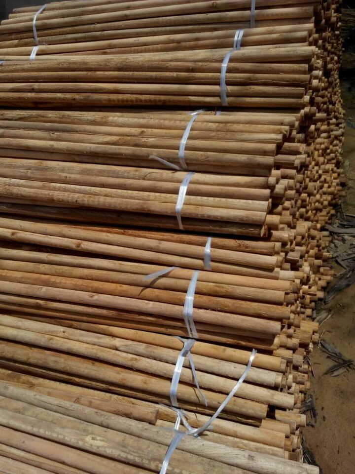 供应优质湿桉木圆棒桉木棒实木棒