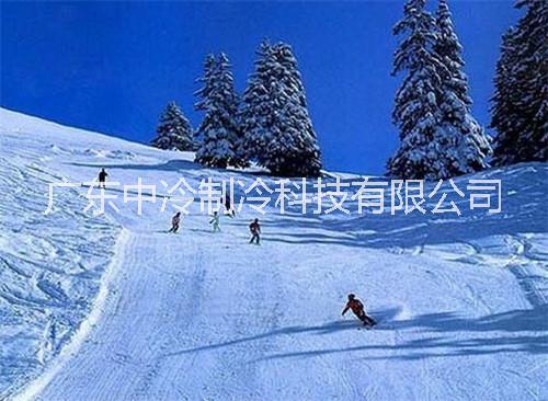 广东中冷滑雪滑雪场设计批发