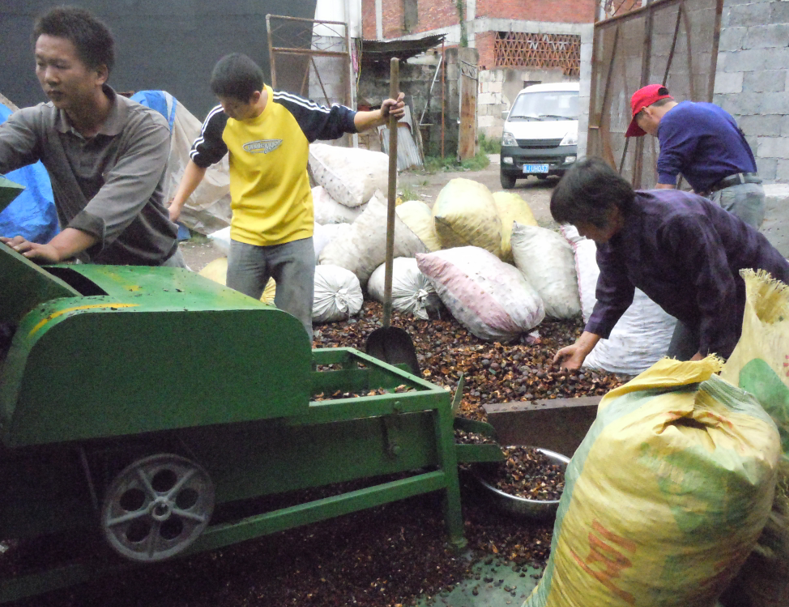 湖北油茶鲜果剥壳机-油茶鲜果剥壳机-浙江油茶果剥壳机价格@湖南油茶果剥壳机多少钱