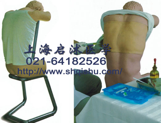 上海启沭供应综合穿刺模型，背部胸腔穿刺电子标准化病人,模拟人