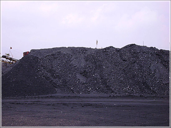 府谷煤炭，神木煤炭，电煤，面煤，块煤，洗精煤，陕西煤