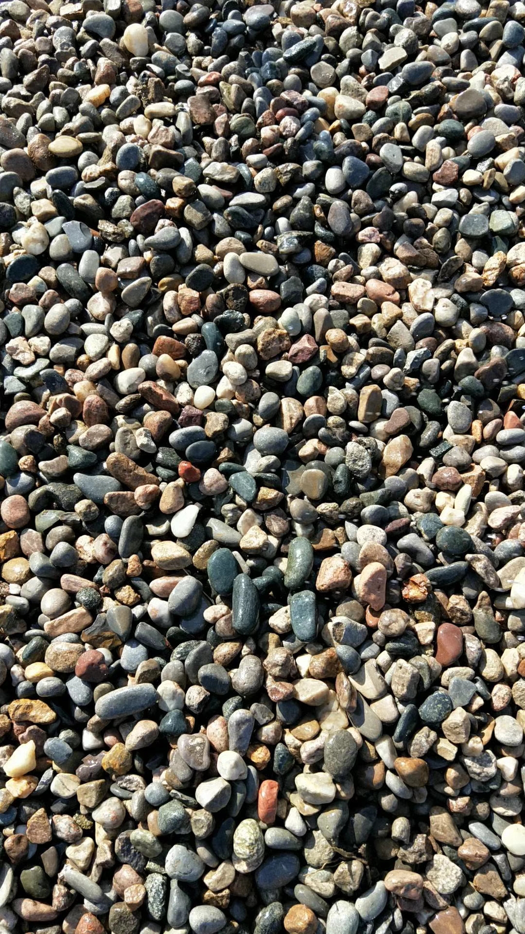 大卵石海浪石开采基地 鹅卵石多少钱一吨 鹅卵石哪里有卖 临沂哪里有鹅卵石 临沂哪里有鹅卵石的   临沂哪里有卖鹅卵石