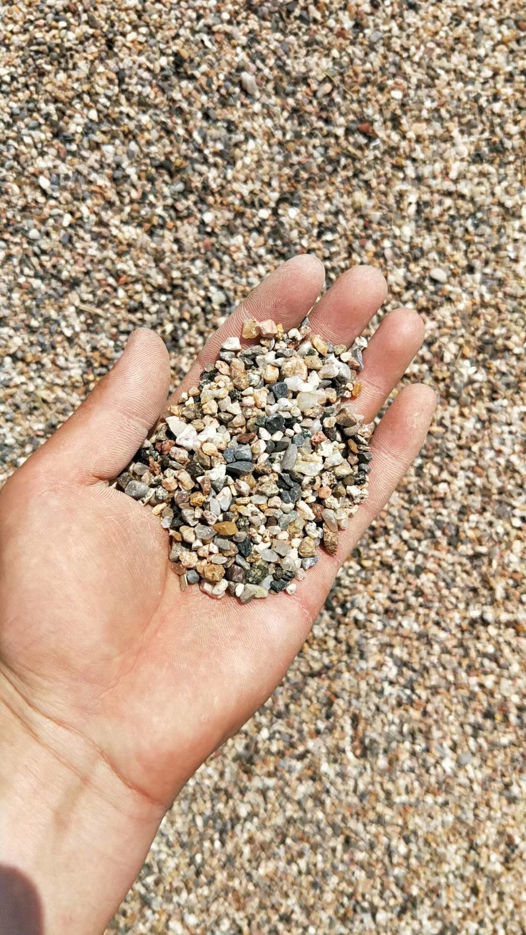 鹅卵石哪里鹅 大卵石海浪石开采基地 鹅卵石多少钱一吨 鹅卵石哪里有卖 临沂哪里有鹅卵石 临沂哪里有鹅卵石的图片