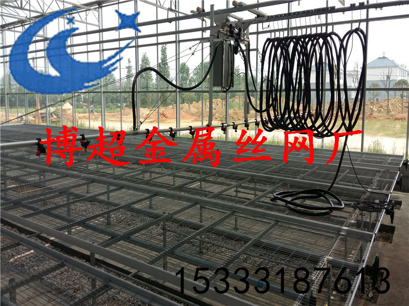 天津生产厂家提供优质温室大棚苗床
