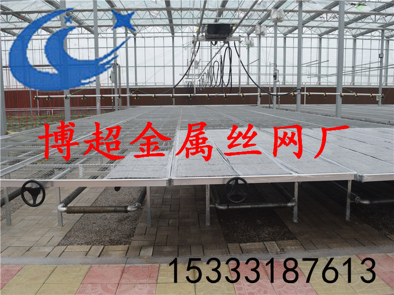领先的温室苗床网厂家 上海温室苗批发