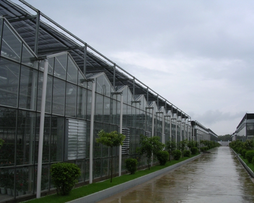 煜林枫新能源玻璃温室智能大棚设计安装