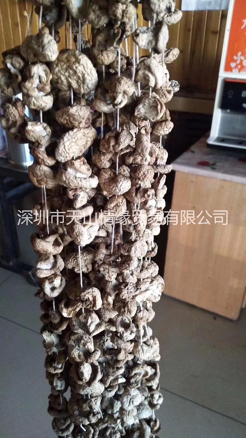 新疆野蘑菇，香菇