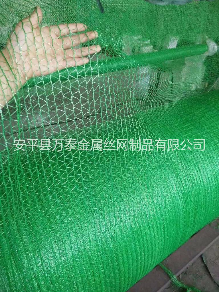 四针盖土网现货 工程用绿色盖土网 聚乙烯防尘网
