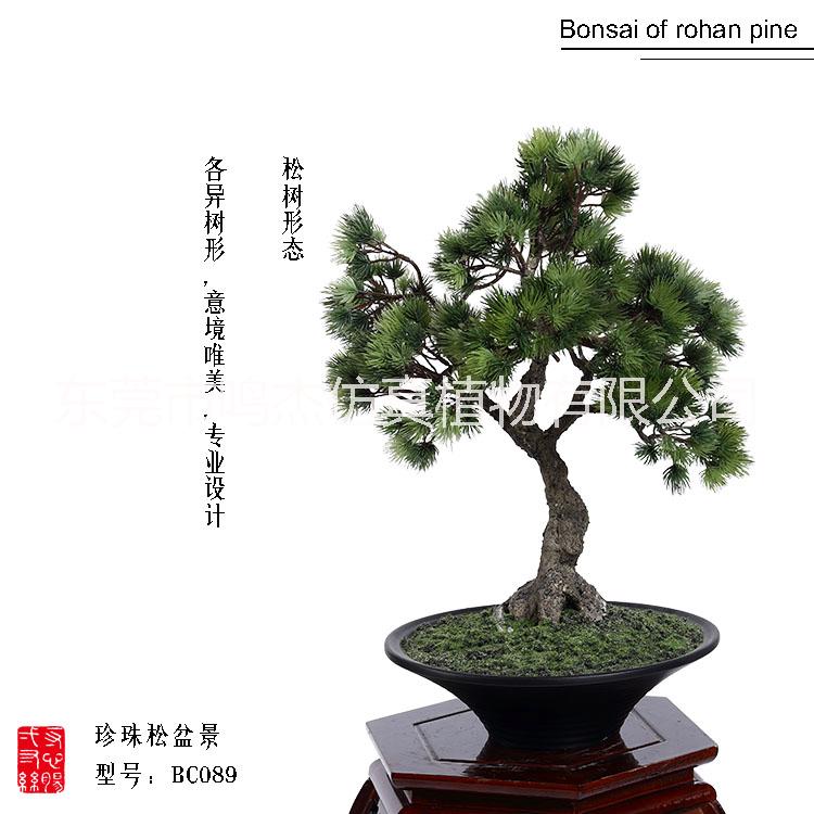 植物盆景景观工艺品室内庭院摆设 东莞植物盆景 仿真松树盆景工艺品BC089