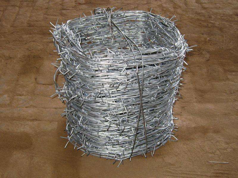 304不锈钢刀片刺绳围栏/护栏网厂家