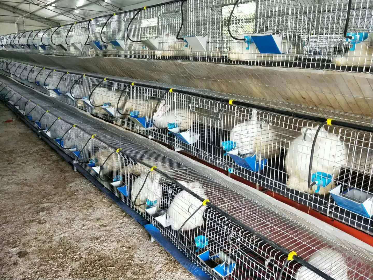 厂家直销养殖兔笼兔子窝铁丝兔笼