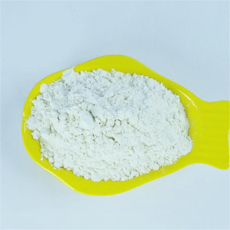现货供应油漆涂料海绵专用 白色负离子粉 纳米负离子粉