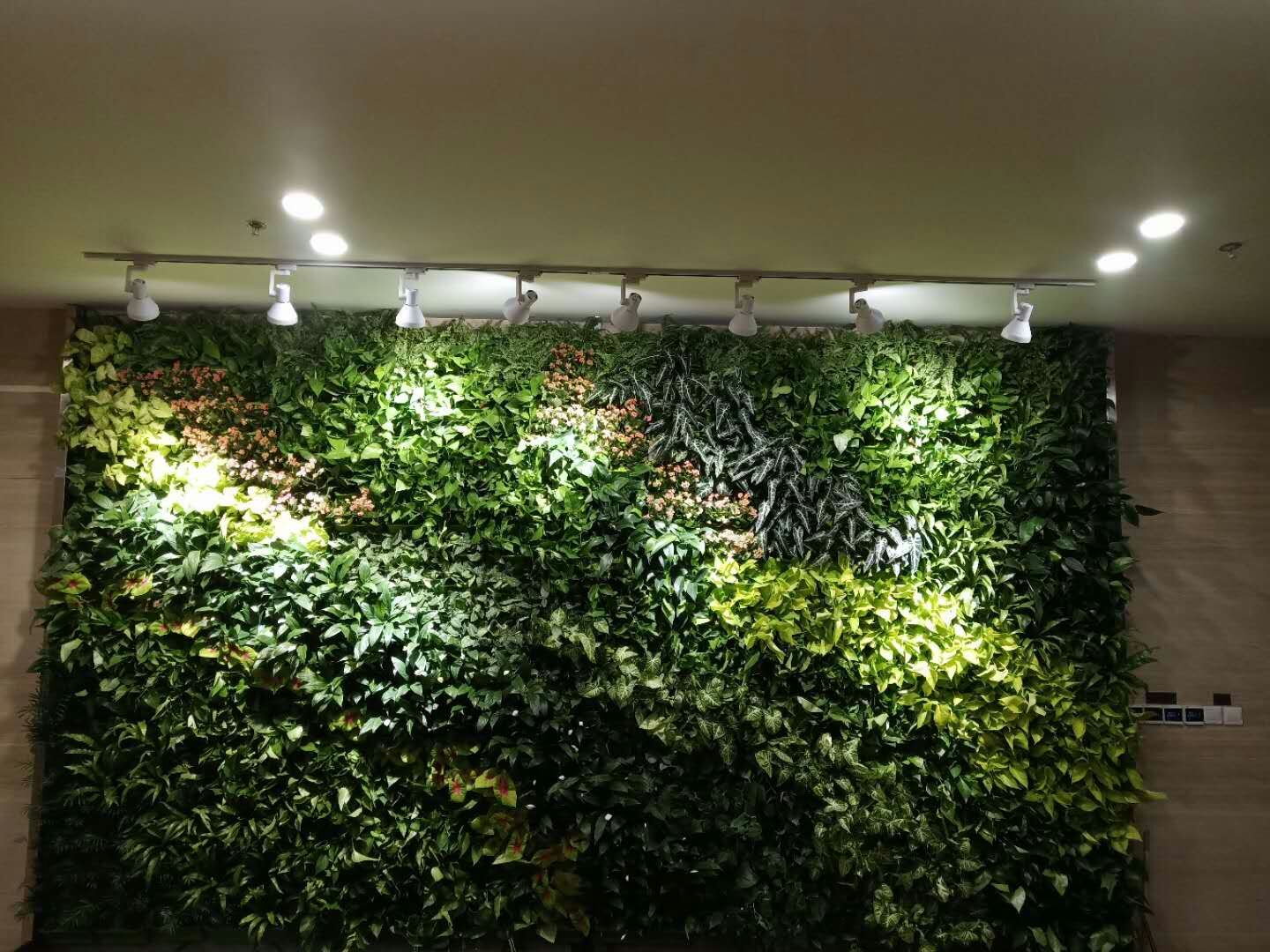 杭州枫桓创新性植物墙