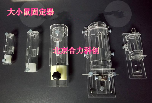 静脉可视小鼠尾注固定器