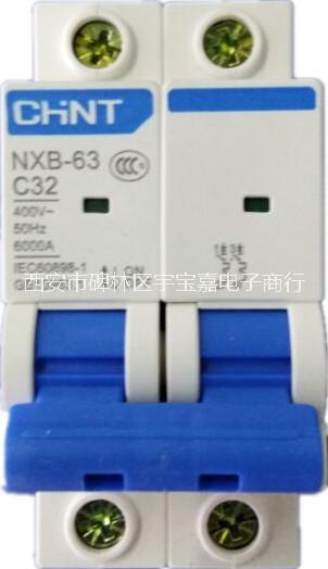 供应正泰小型断路器NXB-63 2P C32