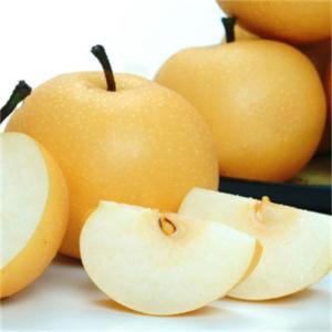 梨树超甜品种--韩国蜜梨，极甜的蜜梨，优质梨树苗，梨树苗新品种，梨树苗批发