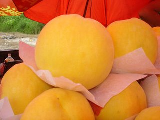 黄桃树苗----八月软黄金蜜桃，黄桃新品种，新品种桃树苗，优质黄桃