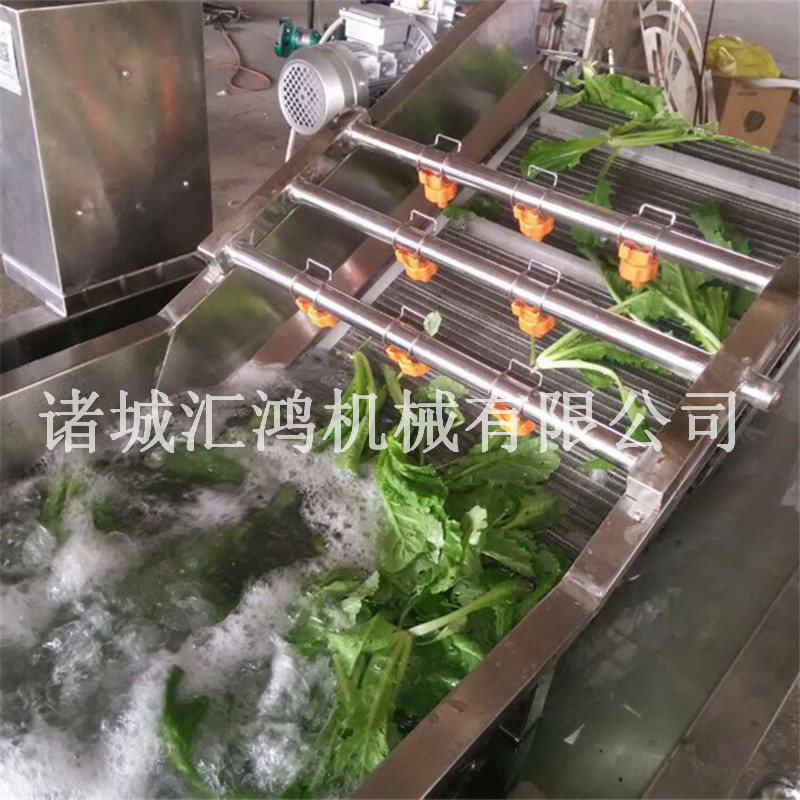 全自动果蔬清洗机 汇鸿茼蒿气泡清洗机厂家 连续洗菜机价格