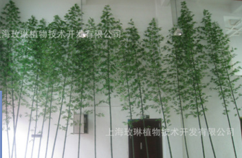 上海仿真竹子厂家直销 上海仿真竹子供应商 仿真竹子厂家 上海仿真竹子制造商