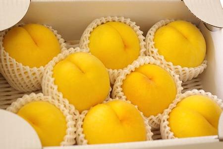 黄金蜜桃，优质黄桃树苗，黄桃树苗新品种，好吃的黄桃，黄桃树苗批发