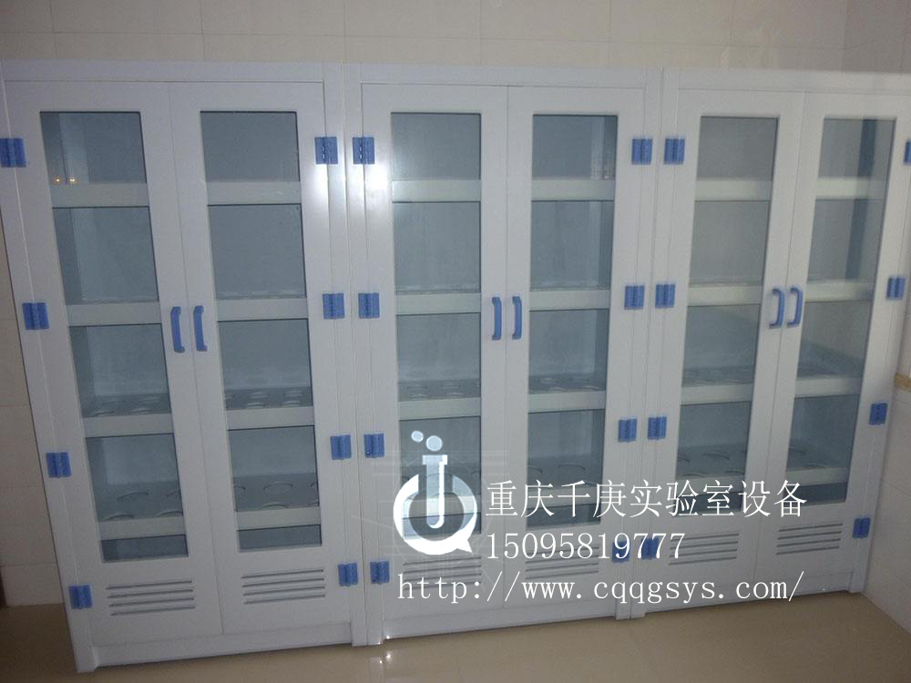 重庆市重庆厂家生产PP器皿柜/试剂柜厂家