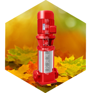 济南立式消防泵-XBD立式消防泵-山东蓝升机械有限公司专业生产各类水泵