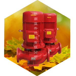 济南立式消防泵-XBD立式消防泵-山东蓝升机械有限公司专业生产各类水泵