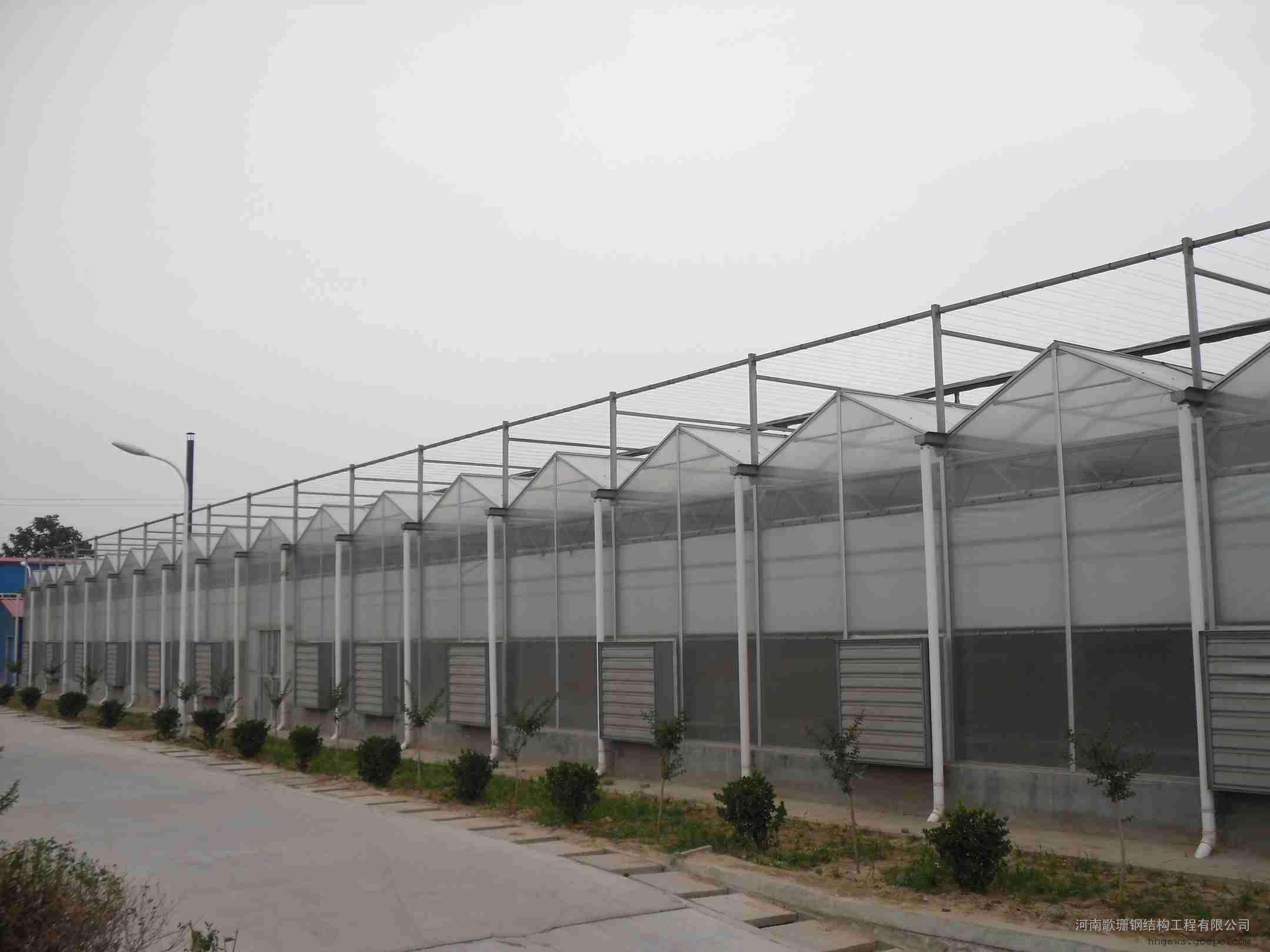 PC阳光板温室的生产厂家 山东潍坊温室大棚图片