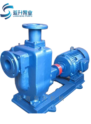 不锈钢污水泵厂家-山东蓝升机械是提供低价-高质量污水泵-山东污水泵