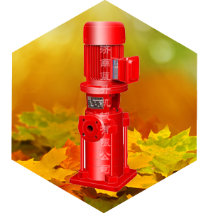山东XBD消防泵-蓝升机械有限公司-专业生产各类水泵-山东消防泵
