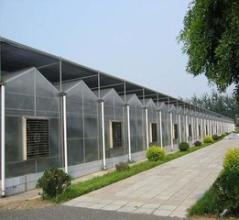 潍坊市连栋阳光板温室厂家连栋阳光板温室 智能阳光板生产厂家 阳光板温室图片