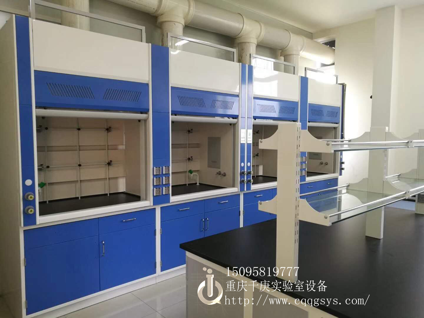 重庆实验室PP通风柜/全钢通风柜
