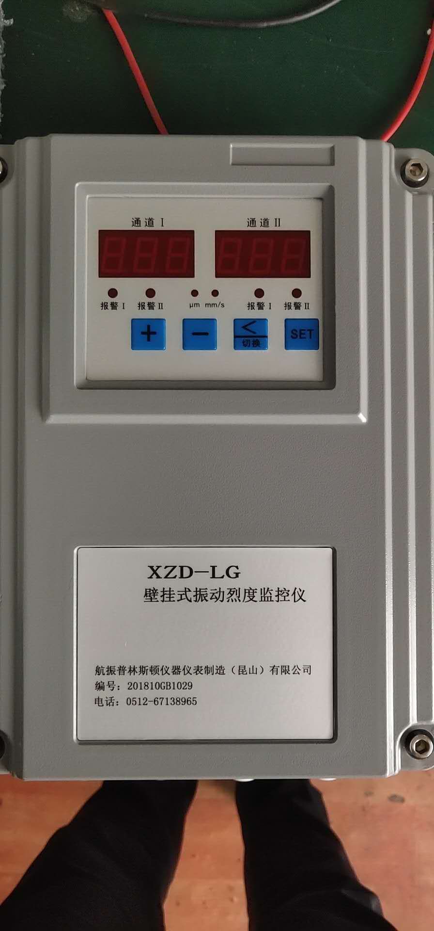 XZD-LG壁挂振动表
