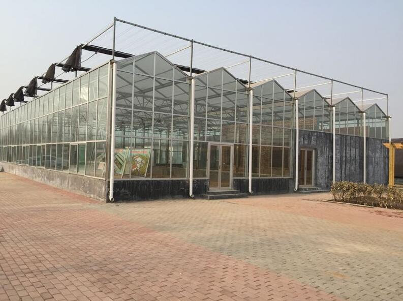 孝感荷兰种植观光展览园玻璃温室大棚文洛型钢结构造型美观大方