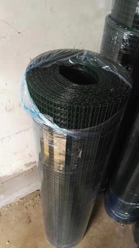 浸塑电焊网 优质养殖网 种植养殖浸塑网 质优价廉
