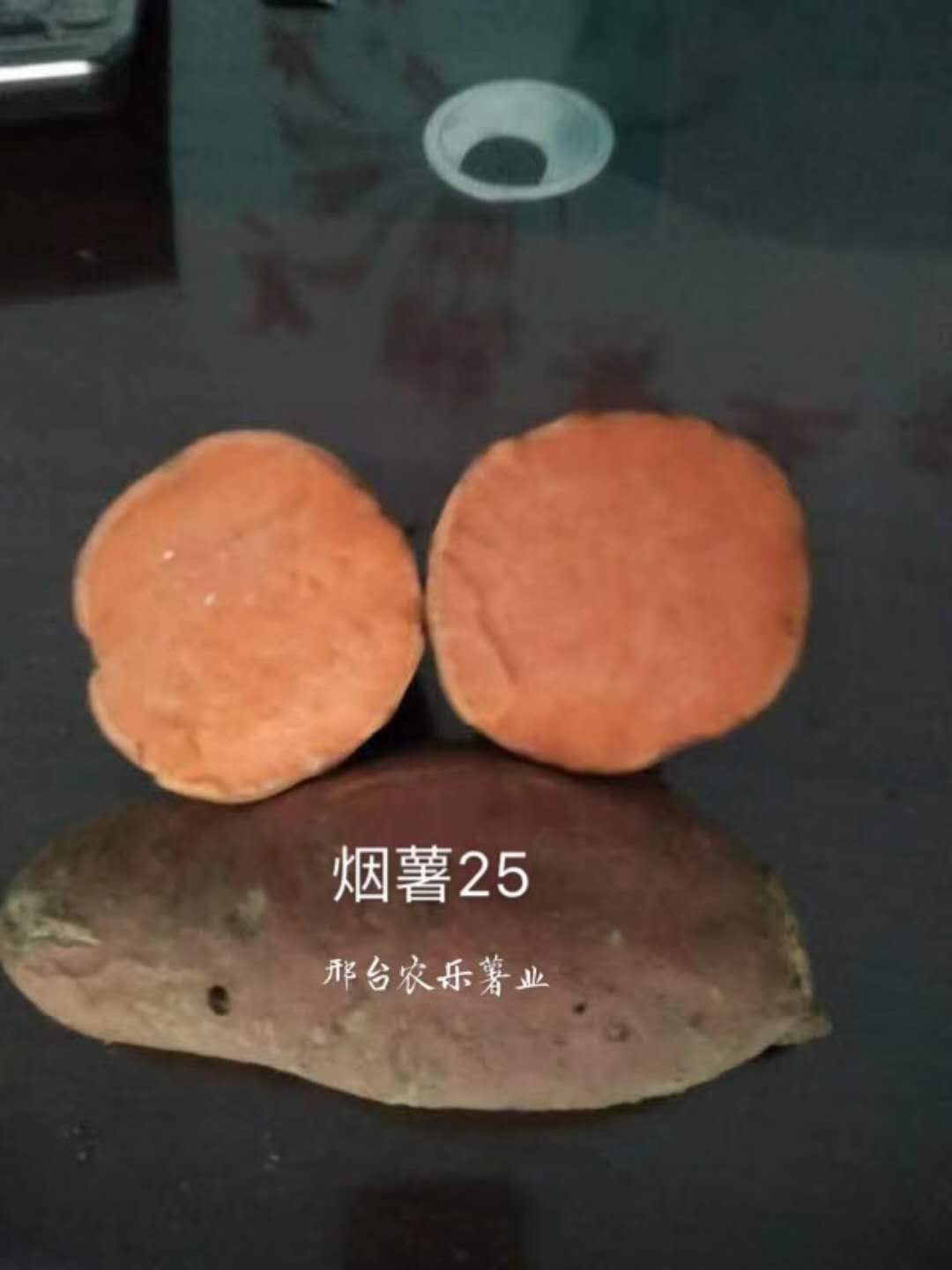烤食型烟薯25原种红薯苗基地
