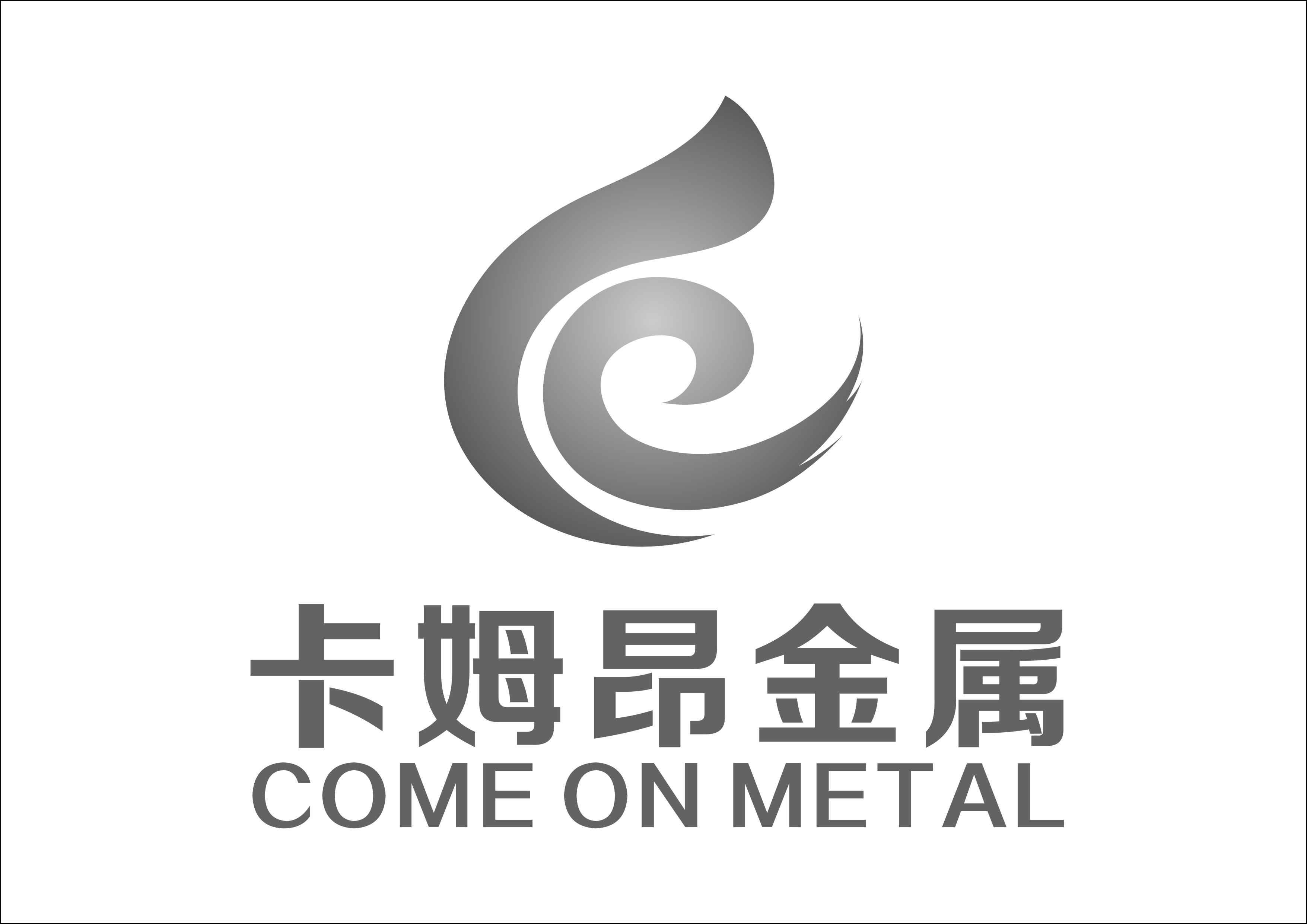 洛阳卡姆昂金属材料科技有限公司