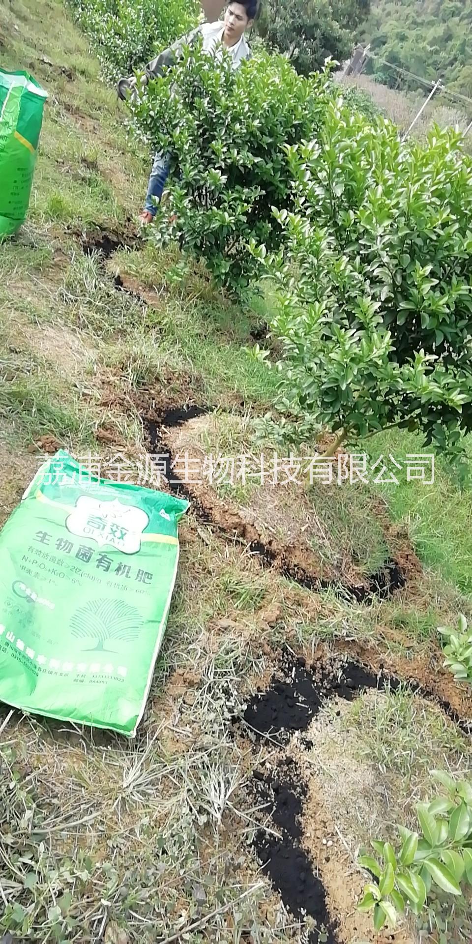 桂林市“奇效”生物菌有机肥厂家奇效生物菌肥 “奇效”生物菌肥 “奇效”生物菌有机肥