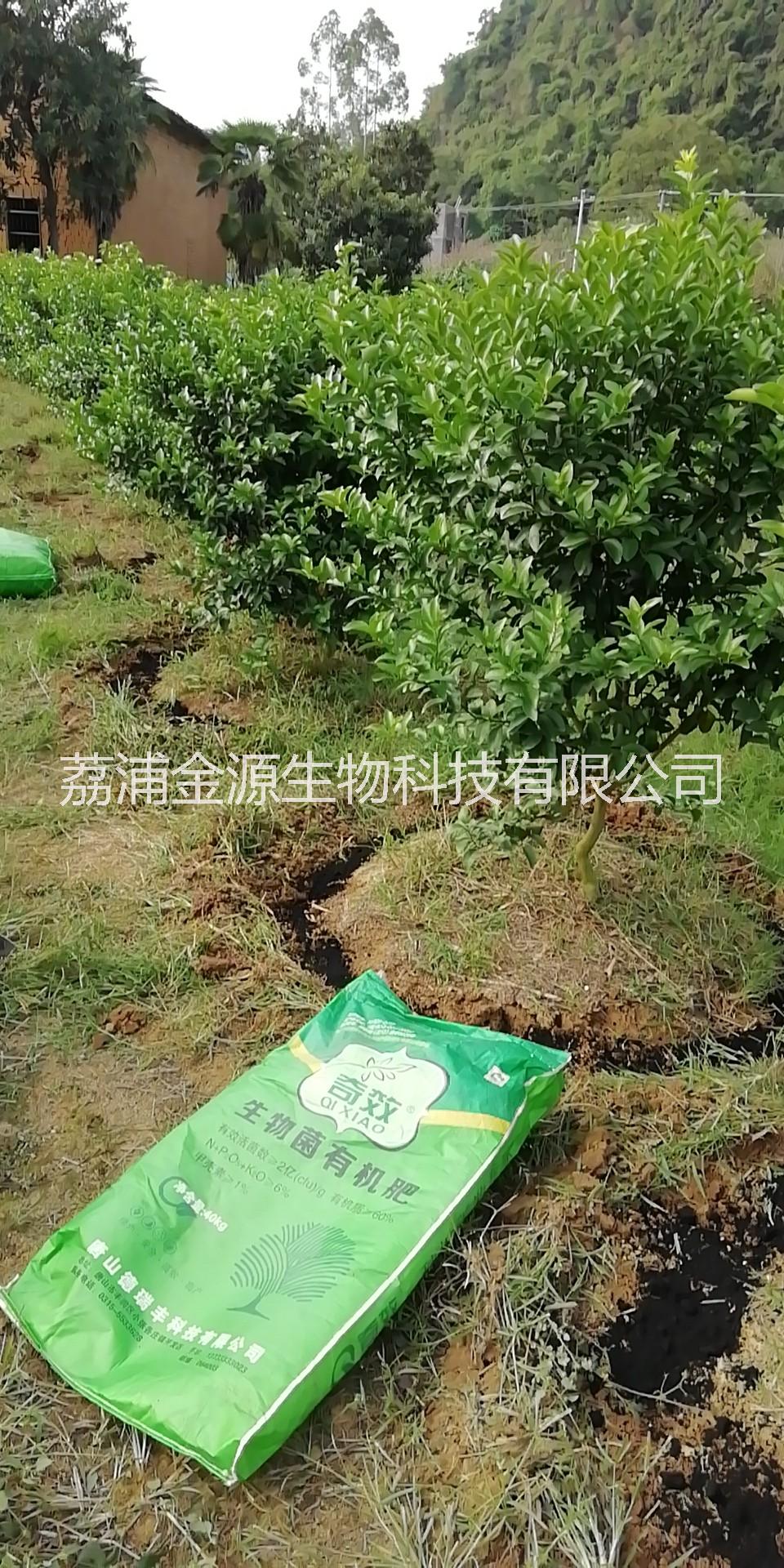 桂林市“奇效”生物菌有机肥厂家