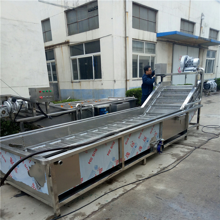 潍坊市自动网带清洗流水线 中药材清洗机厂家