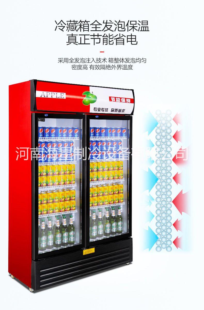 郑州饮料柜 啤酒饮料展示柜 饮料柜价格