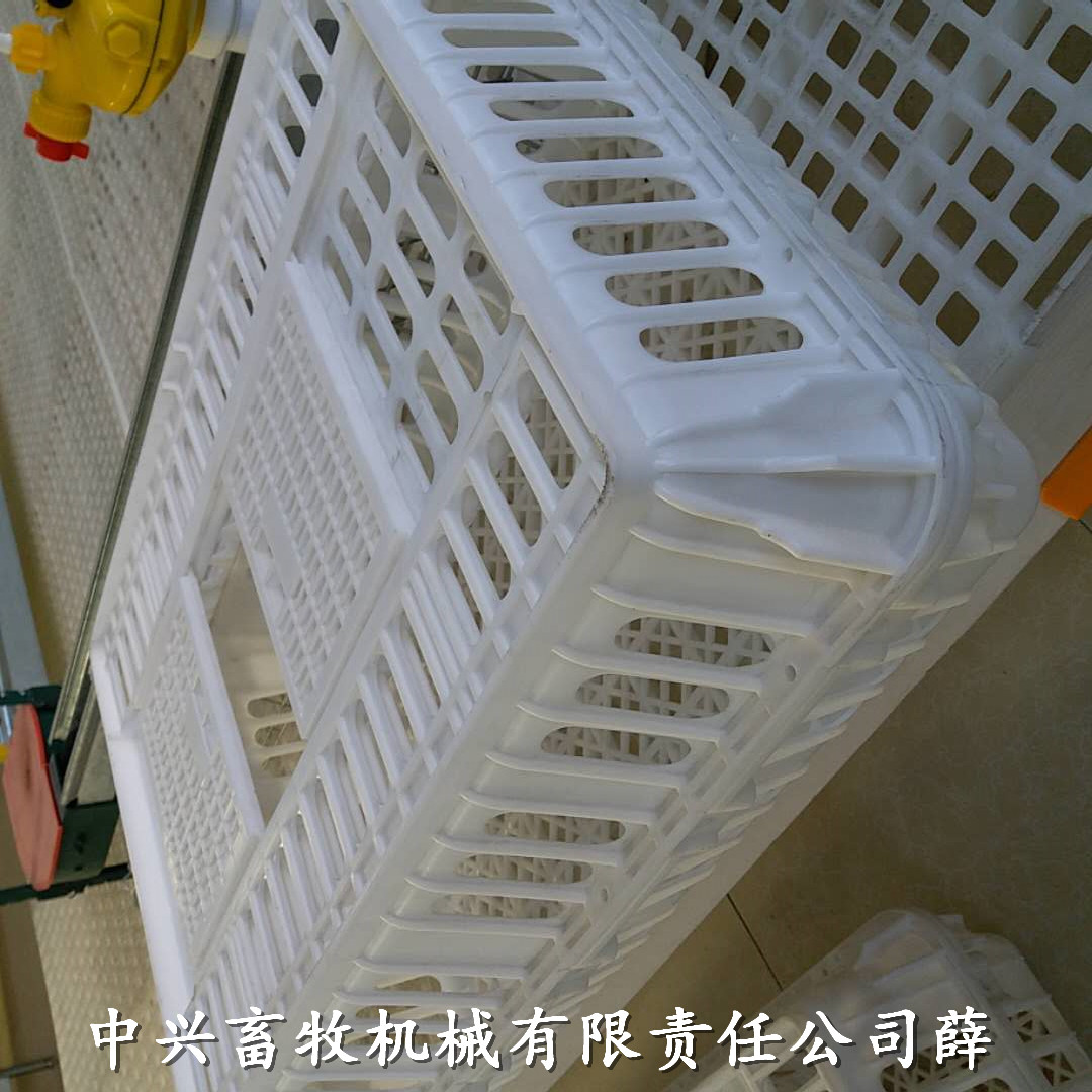 加高装鹅笼拉鸭周转箱 塑料鸭筐运输鸡笼厂家