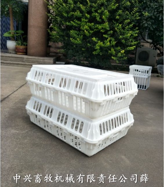 生产塑料运输鸡笼方形耐摔鸡筐生产厂家图片