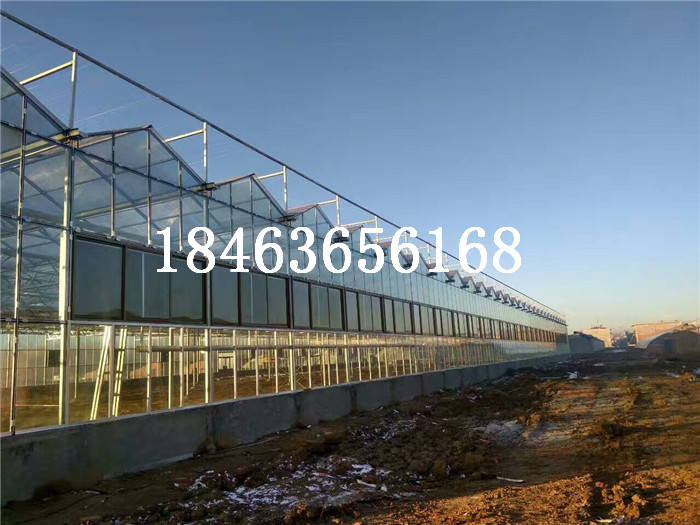 智能温室建设如何选择建设规模 连栋玻璃温室大棚
