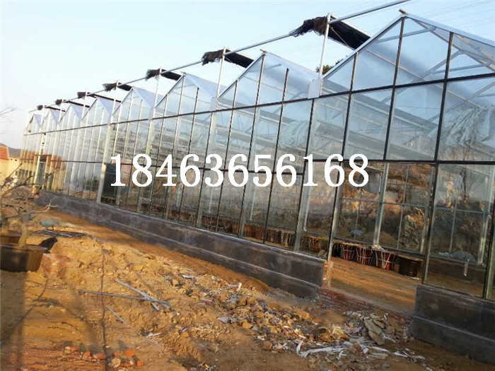 玻璃温室通风条件优质商家  玻璃温室多少钱一平米