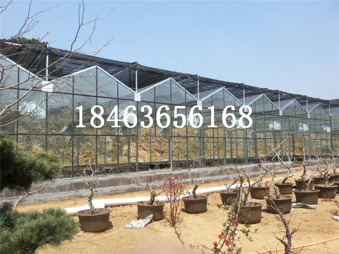 玻璃温室通风条件优质商家  玻璃温室多少钱一平米