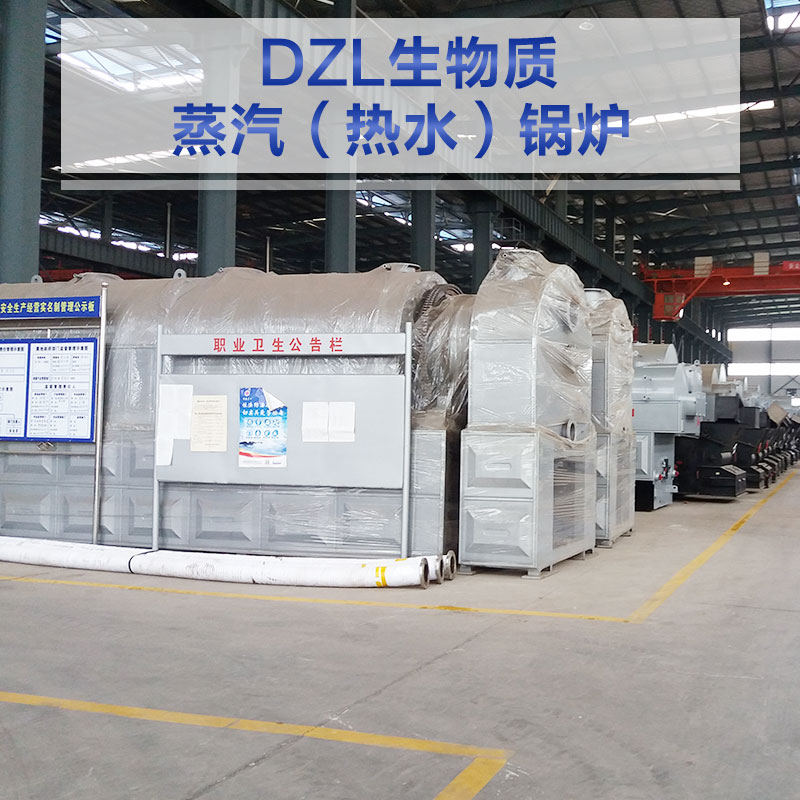 DZL生物质蒸汽（热水）锅炉厂家 供应生物质颗粒燃料锅炉 卧式蒸汽锅炉 品质保障 厂家直销图片