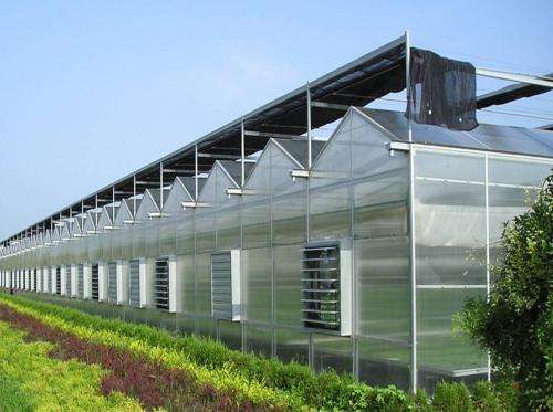 青州阳光板地址阳光板的耐用程度怎么样 青州阳光板温室地址